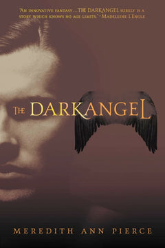 The Darkangel Meredith Ann Pierce