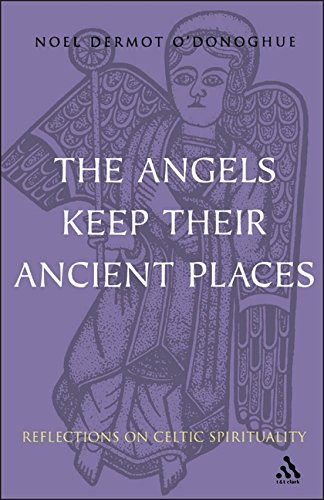 Angels Keep Their Ancient Places: Reflections on Celtic Spirituality O'Donoghue, Noel