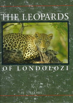 The Leopards of Londolozi - Lex Hes