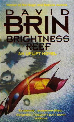 Brightness Reef Brin, David