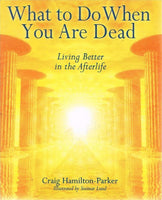 What to do when you are dead better living in the afterlife Craig Hamilton-Parker