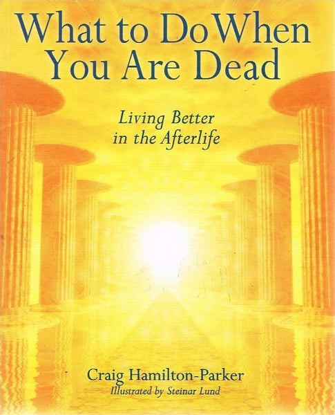What to do when you are dead better living in the afterlife Craig Hamilton-Parker