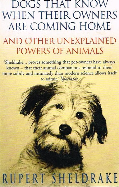 Dogs that know when their owners are coming home and other unexplained powers of animals Rupert Sheldrake