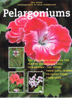 Pelargoniums Mia Esser