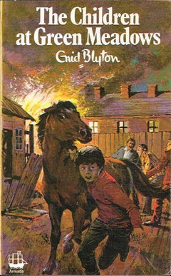 The Children at Green Meadows Enid Blyton