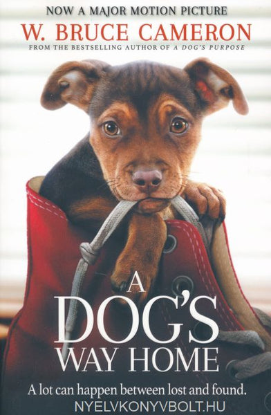 A Dog's Way Home: The Heartwarming Story of the Special Bond Between Man and Dog - W. Bruce Cameron