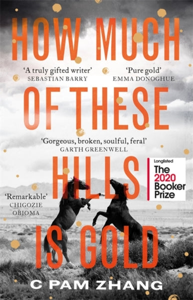 How Much of These Hills Is Gold - C. Pam Zhang