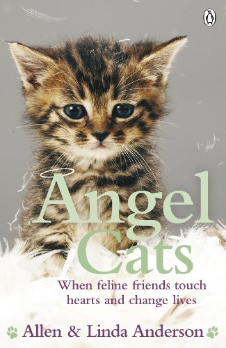 Angel Cats: When Feline Friends Touch Hearts and Change Lives - Allen Anderson & Linda Anderson