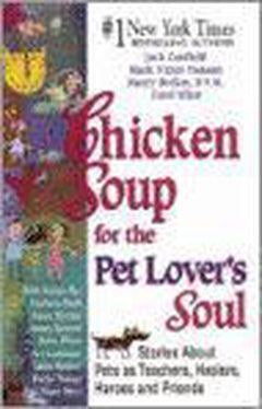 Chicken Soup for the Pet Lover's Soul Stories about Pets as Teachers, Healers, Heroes, and Friends - Jack Canfield